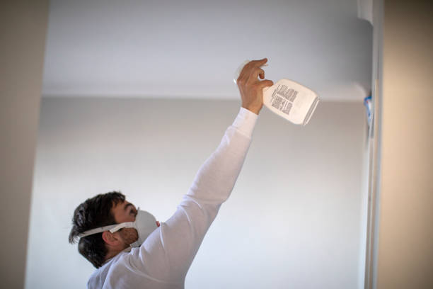 Best Mold Removal Process  in Shady Point, OK