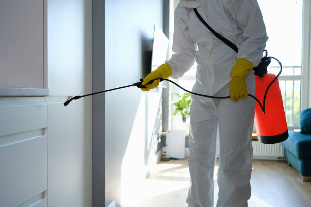 Professional Mold Removal in Shady Point, OK