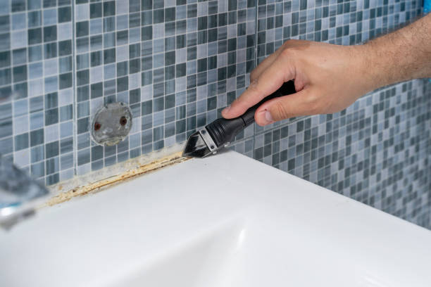 Best Mold Removal Specialists  in Shady Point, OK