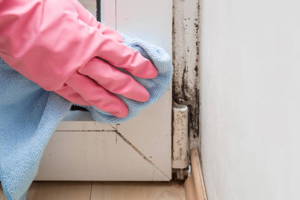 Water Damage Restoration in Shady Point, OK